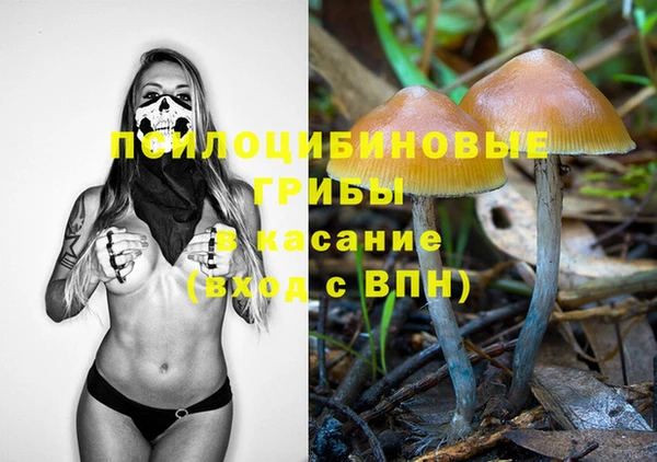 PSILOCYBIN Инсар