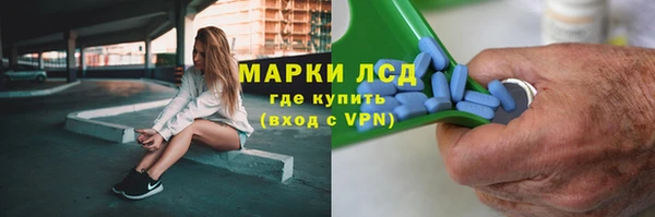 PSILOCYBIN Инсар