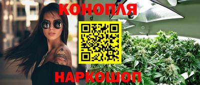 тгк Будённовск