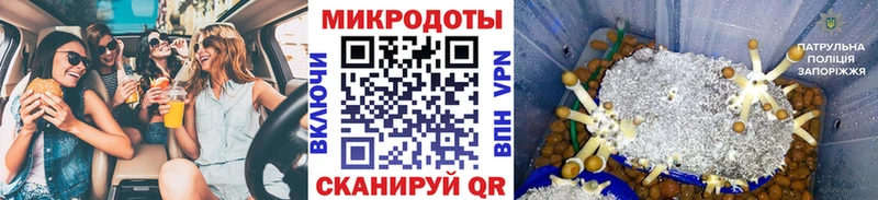 закладка  Новомосковск  Псилоцибиновые грибы ЛСД 