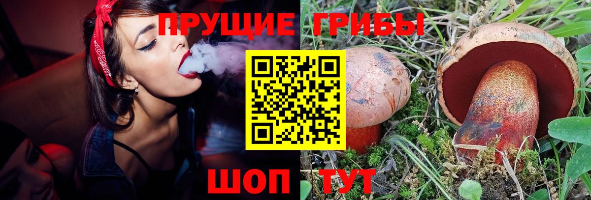 Галлюциногенные грибы Psilocybine cubensis  Новомосковск  Галлюциногенные грибы мухоморы 