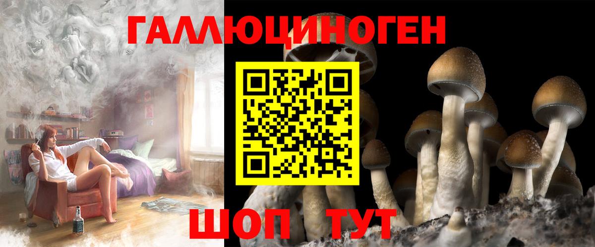 Галлюциногенные грибы MAGIC MUSHROOMS Новомосковск