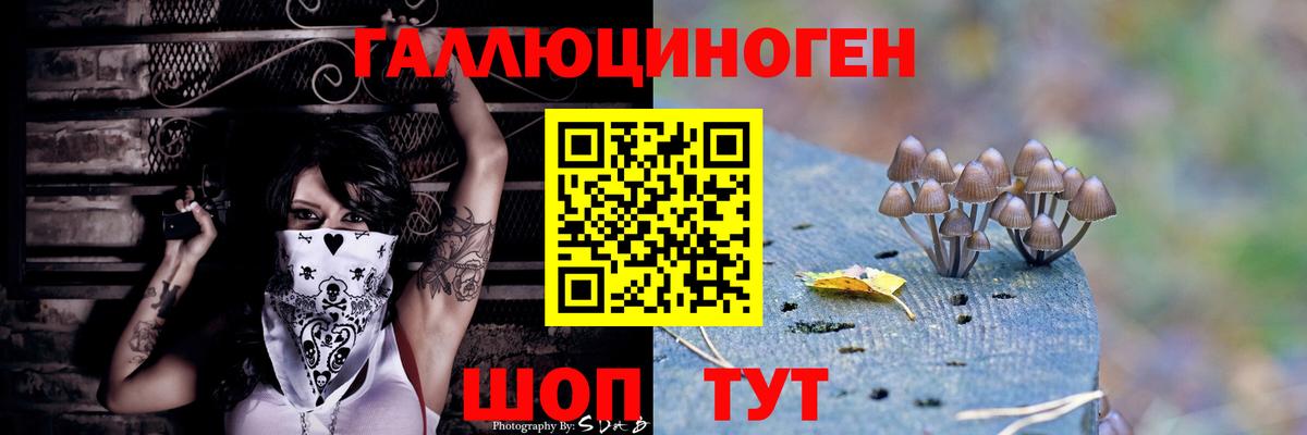 Галлюциногенные грибы мухоморы Новомосковск