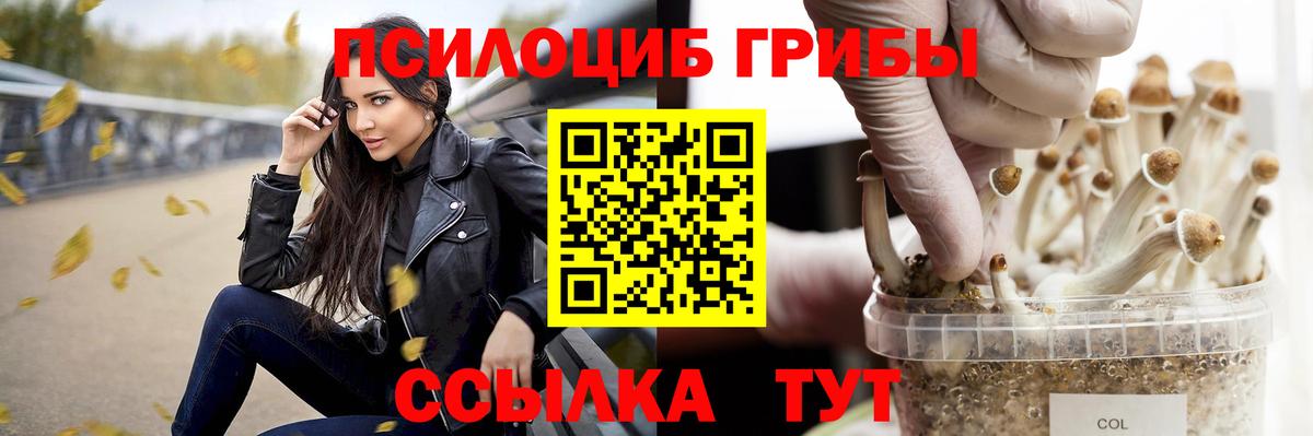 Псилоцибиновые грибы мухоморы  Псилоцибиновые грибы прущие грибы  Вход с VPN  Новомосковск 
