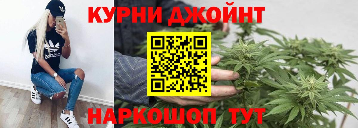 Конопля Bruce Banner  Марихуана сатива  Новомосковск  Бошки Шишки гибрид  Конопля марихуана 